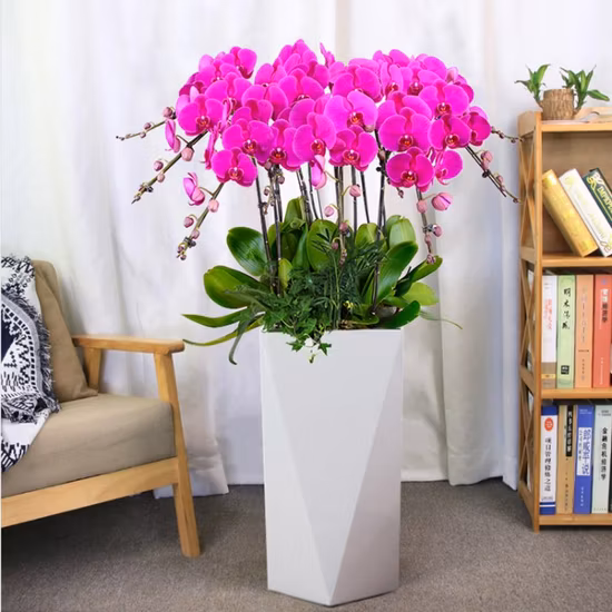 Large Diamond Shape Flowerpot Plastic